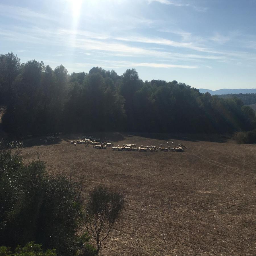 VI L'Art Wine Lodge - Only Adults Piera Εξωτερικό φωτογραφία